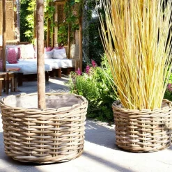Cache-pot bas pour grandes plantes, en rotin (lot de 2)