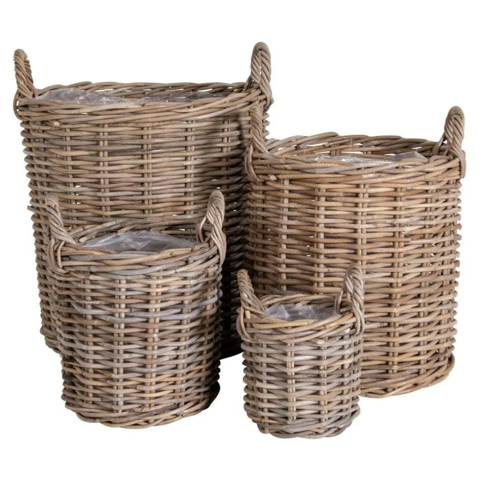 Cache-pot en rotin, fines tiges (lot de 4)