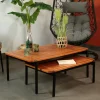 Table basse gigogne bois d'eucalyptus intérieur/extérieur (lot de 2)